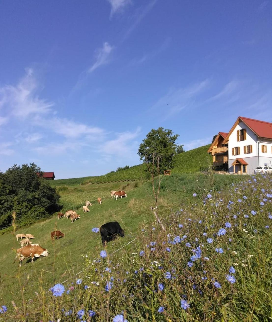 Bauernhof Gschmeidler Sankt Johann im Saggautal ภายนอก รูปภาพ